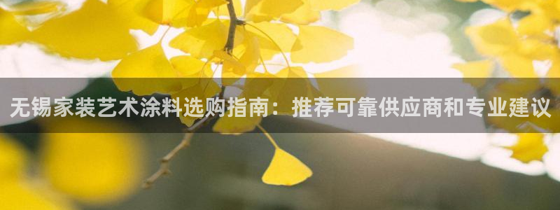 和记国际：无锡家装艺术涂料选购指南：推荐可靠供应商和专业建议