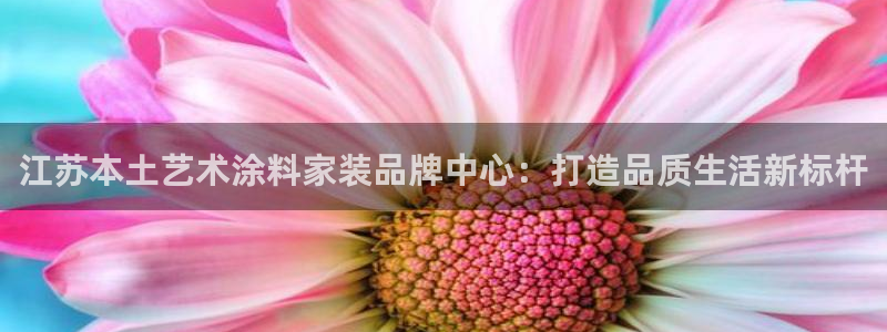 和记平台：江苏本土艺术涂料家装品牌中心：打造品质生活新标杆