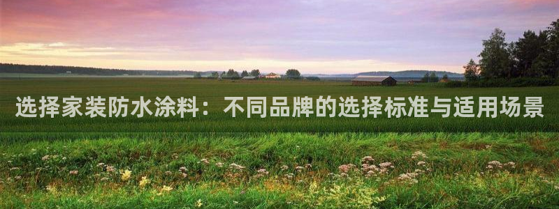 和记官方平台：选择家装防水涂料：不同品牌的选择标准与适用场景