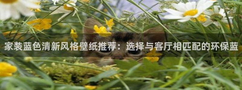和记网页：家装蓝色清新风格壁纸推荐：选择与客厅相匹配的环保蓝