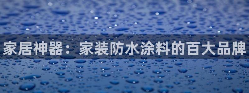 和记AG旗舰：家居神器：家装防水涂料的百大品牌