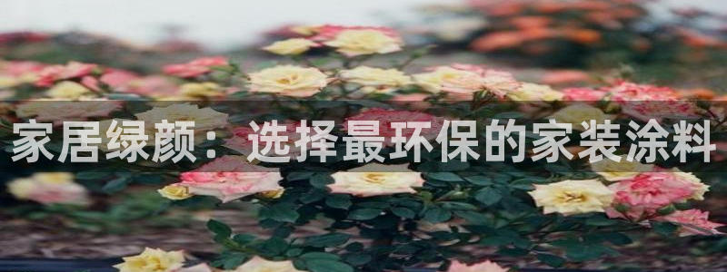 和记paging：家居绿颜：选择最环保的家装涂料