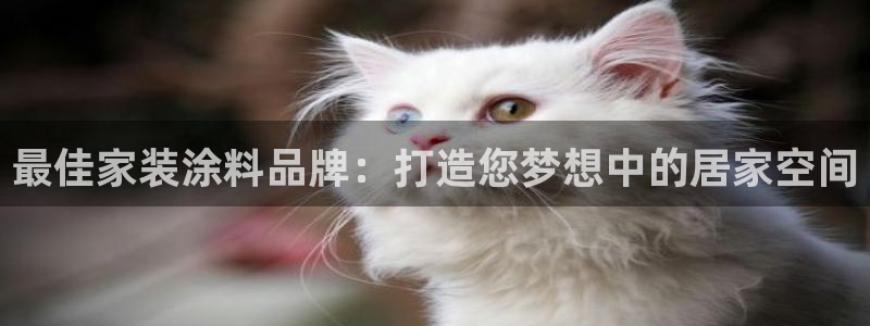 和记下载：最佳家装涂料品牌：打造您梦想中的居家空间