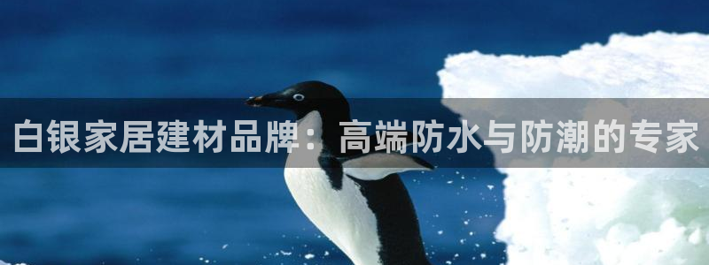 和记平台登录：白银家居建材品牌：高端防水与防潮的专家
