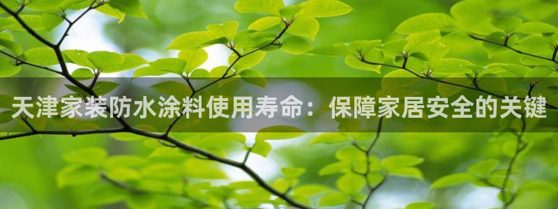 和记官方直营注册导航：天津家装防水涂料使用寿命：保障家居安全的关键